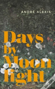 Capa do artigo Days By Moonlight