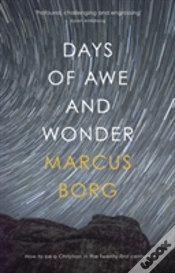 Capa do artigo Days Of Awe And Wonder