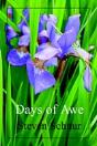 Days Of Awe - Preview