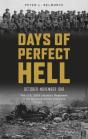 Days Of Perfect Hell - Preview