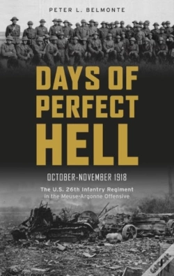 Capa do artigo Days Of Perfect Hell