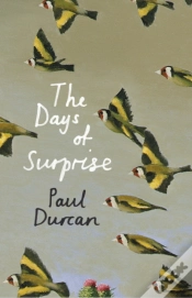 Capa do artigo Days Of Surprise
