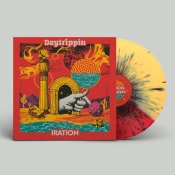 Capa do artigo Daytrippin - Vinil