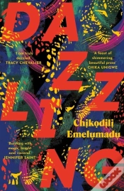 Capa do artigo Dazzling
