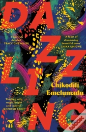 Capa do artigo Dazzling
