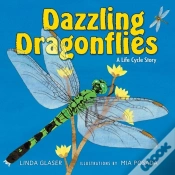 Capa do artigo Dazzling Dragonflies