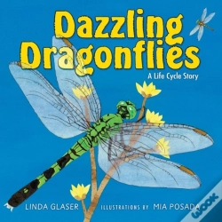 Capa do artigo Dazzling Dragonflies