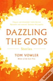 Capa do artigo Dazzling The Gods