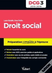 Capa do artigo Dcg 3 Droit Social