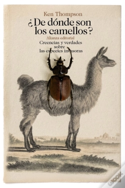 Capa do artigo ¿De Dónde Son Los Camellos?