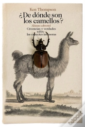 Capa do artigo ¿De Dónde Son Los Camellos?