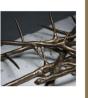 De Doorn - CD - Preview