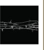 De Doorn - CD - Preview