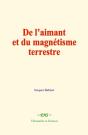 De L’Aimant Et Du Magnétisme Terrestre - Preview