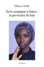 De La Campagne A Dakar La Perversion De Sala - Preview