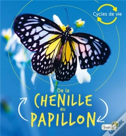 Capa do artigo De La Chenille Au Papillon