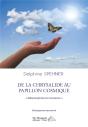 De La Chrysalide Au Papillon Cosmique : Métamorph'Ose En Conscience - Preview