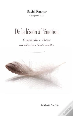 Capa do artigo De La Lésion A L'Émotion : Comprendre Et Libérer Vos Mémoires Émotionnelles