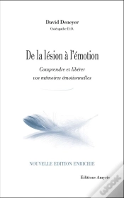 Capa do artigo De La Lesion A L