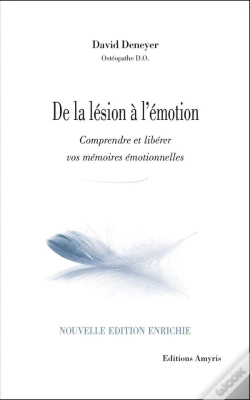 Capa do artigo De La Lesion A L'Emotion : Comprendre Et Liberer Vos Memoires Emotionnelles.