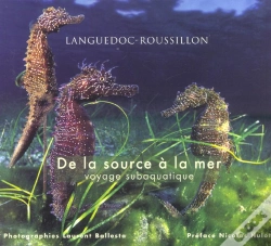 Capa do artigo De La Source A La Mer ; Voyage Subaquatique