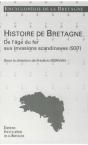 De L'Âge De Fer Aux Invasions Scandinaves - Preview