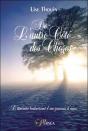 De L'Autre Cote Des Choses ; L'Itineraire Bouleversant D'Une Passeuse D'Ames - Preview