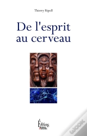 De L'Esprit Au Cerveau