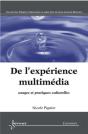 De L'Expérience Multimédia Usages Et Pratiques Culturelles - Preview