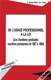 De L'Usage Professionnel A La Loi