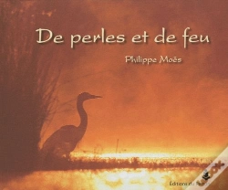 Capa do artigo De Perles Et De Feu
