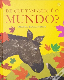 Capa do artigo De que Tamanho é o Mundo?