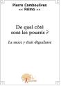 De Quel Côté Sont Les Pourris? - Preview