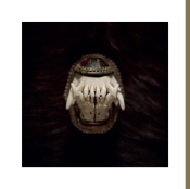 Capa do artigo De Toorn - CD