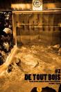 De Tout Bois #3. Revue De Lutte Contre Le Center Parcs De Roybon - Preview