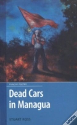 Capa do artigo Dead Cars In Managua