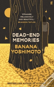 Capa do artigo Dead-End Memories