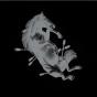 Dead Horse X - Vinil - Preview