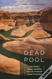 Capa do artigo Dead Pool