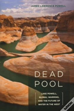 Capa do artigo Dead Pool