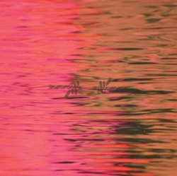 Capa do artigo Dead Reflection - CD