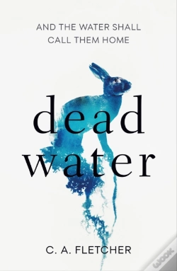 Capa do artigo Dead Water