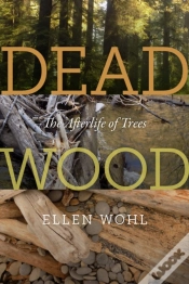 Capa do artigo Dead Wood