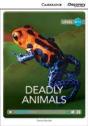 Deadly Animals High Beginning Book With Online Access - Preview