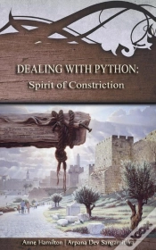 Capa do artigo Dealing With Python: Spirit Of Constriction