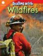 Dealing With Wildfires - Preview