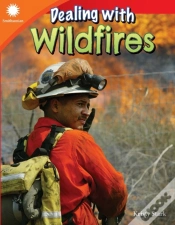 Capa do artigo Dealing With Wildfires
