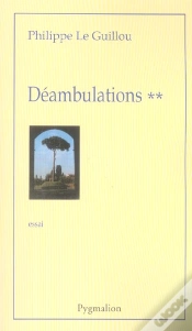Capa do artigo Déambulations