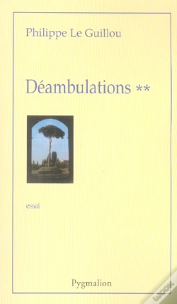 Capa do artigo Déambulations
