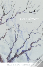 Capa do artigo Dear Almost